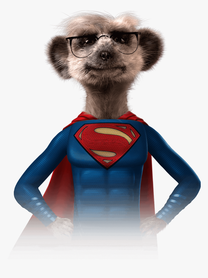 Meerkat Superhero, HD Png Download