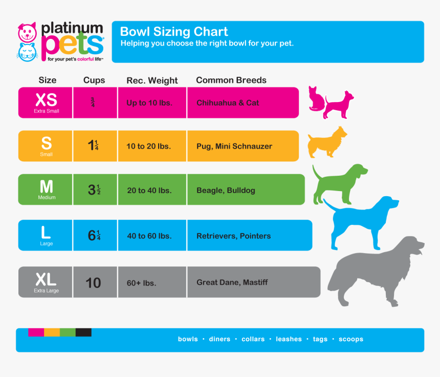 Size Dog Bowl, HD Png Download