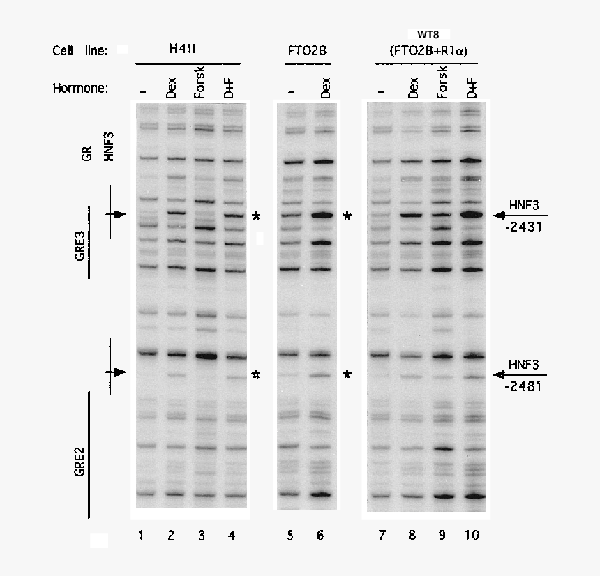 Number, HD Png Download