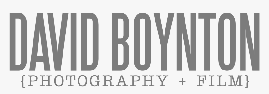 Have Never Been To Ny, HD Png Download