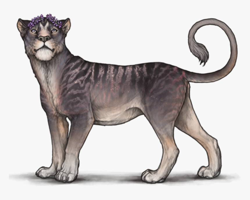 Lioden Chatoyant, HD Png Download