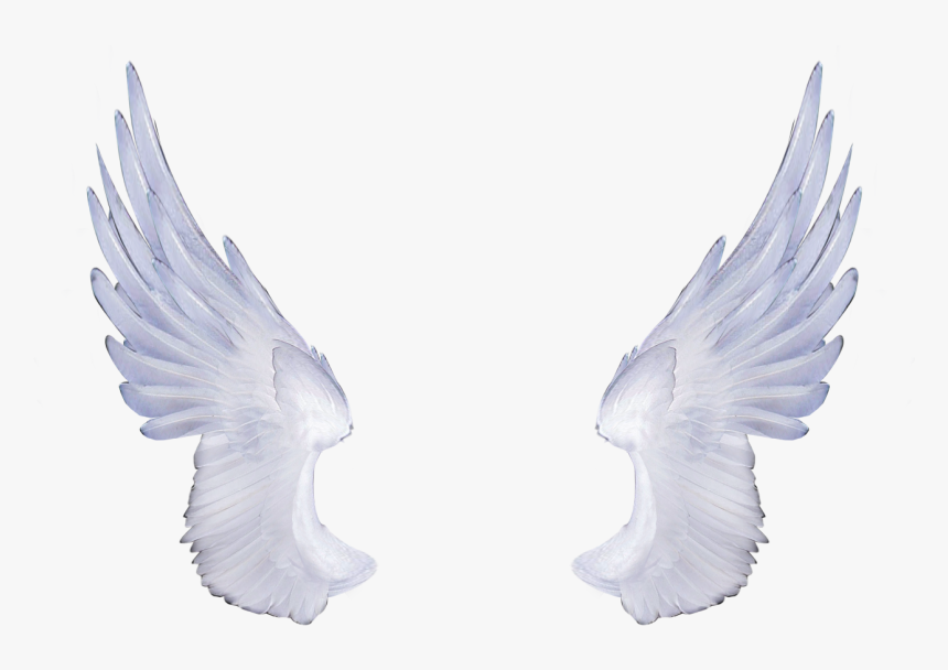 Melek Kanadı Png, Transparent Png
