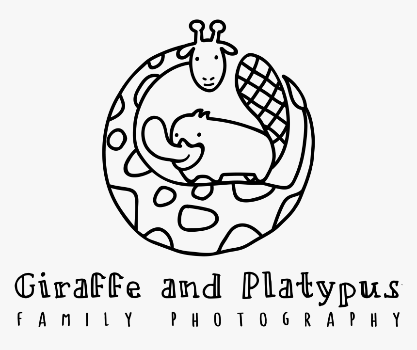 Circle, HD Png Download