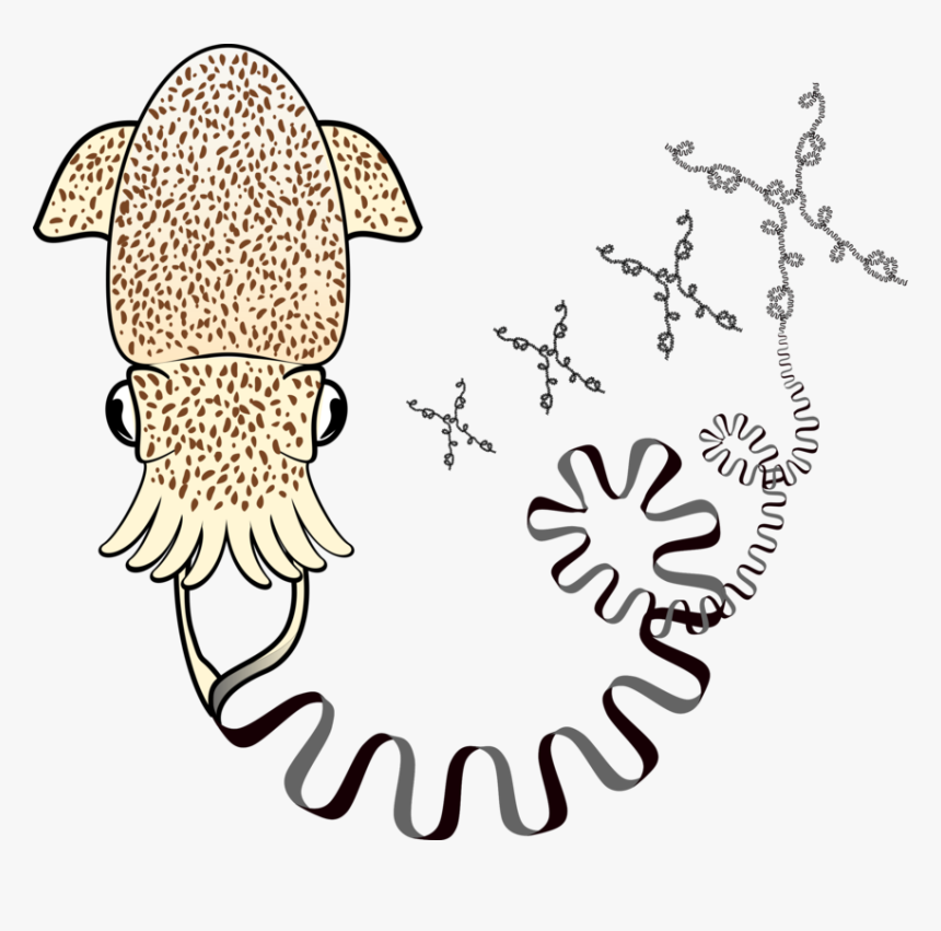 Illustration, HD Png Download