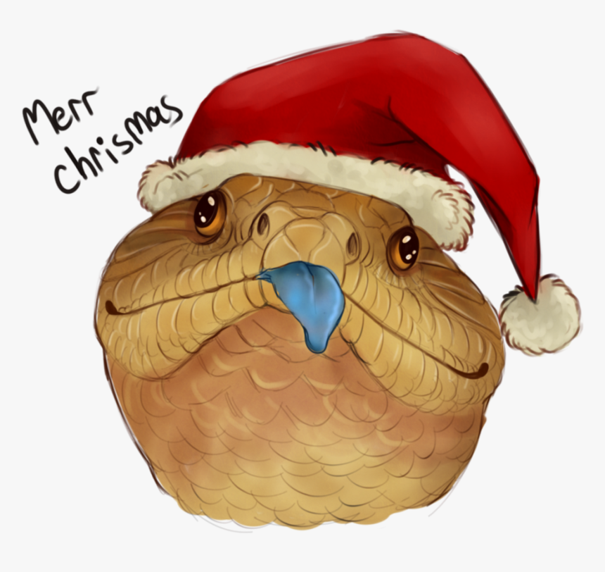 Chrismas Beak Owl - Blue Tongue Skink Drawing, HD Png Download