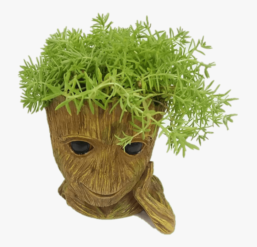 Grass, HD Png Download