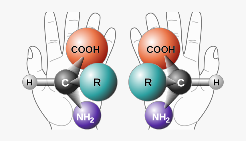 Optikai Izoméria, HD Png Download