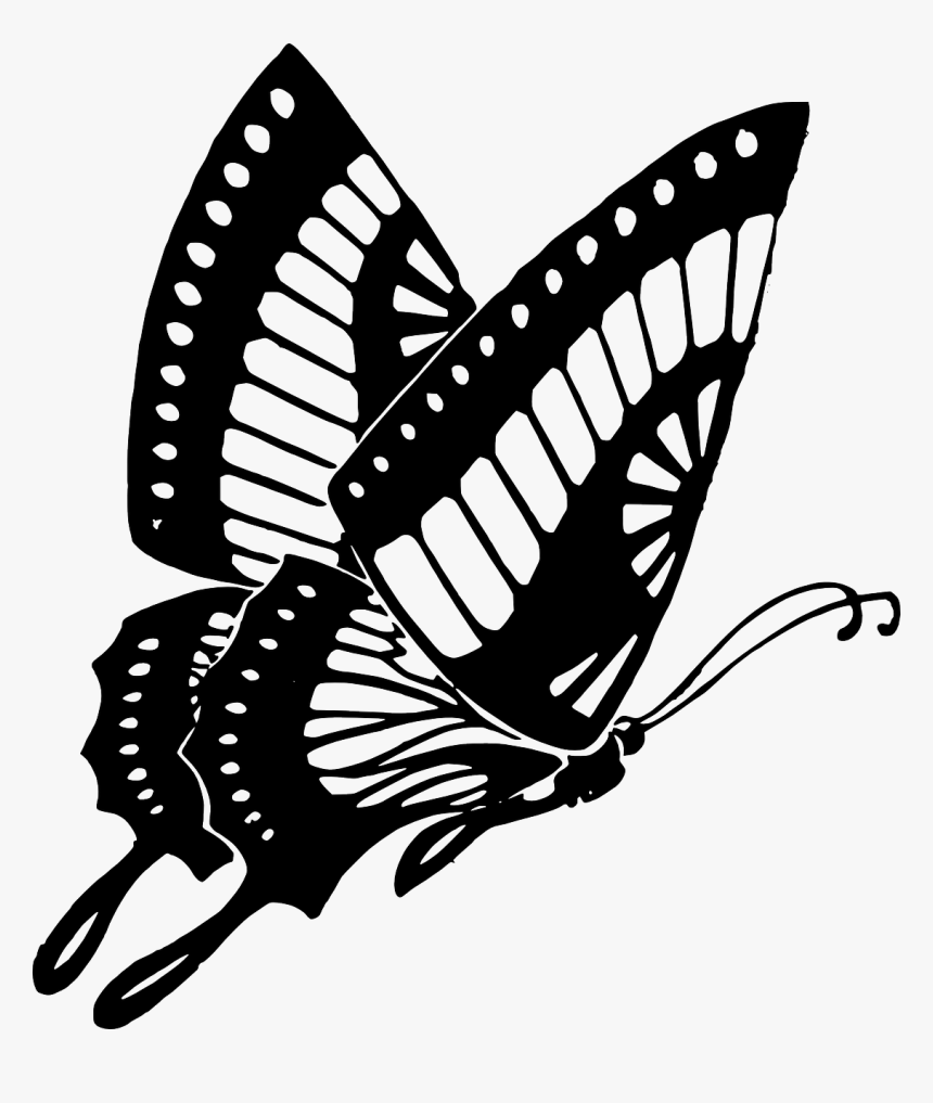 Drawing Spring Purple Butterfly - Butterfly Black And White Png, Transparent Png