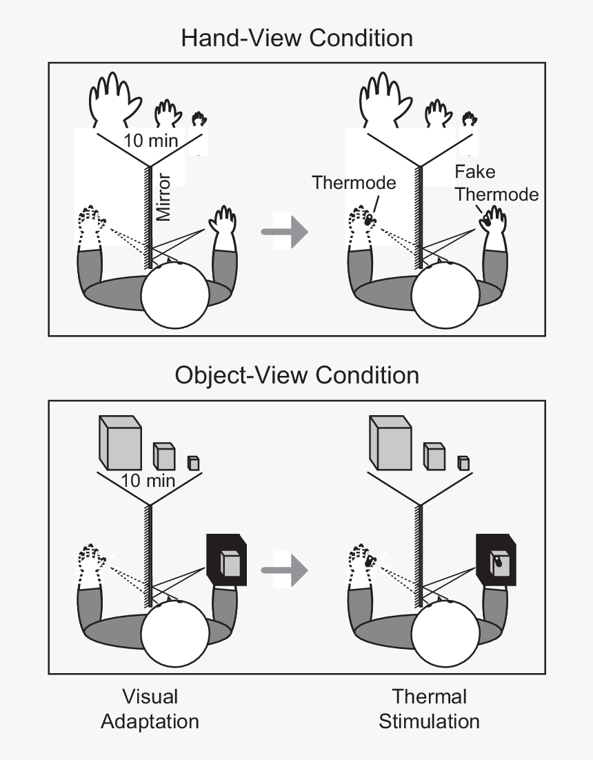 Diagram, HD Png Download