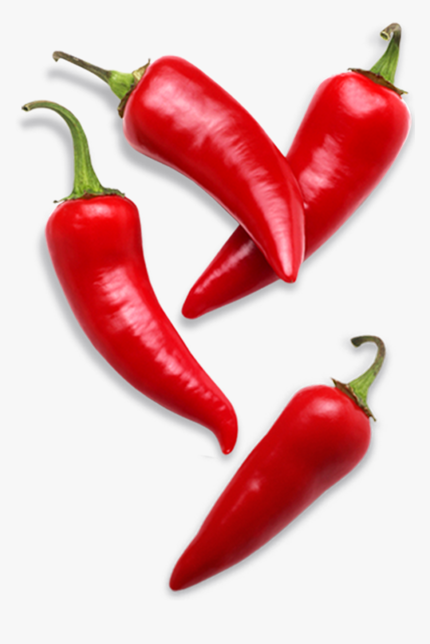 Red Pepper - Pepper Png, Transparent Png