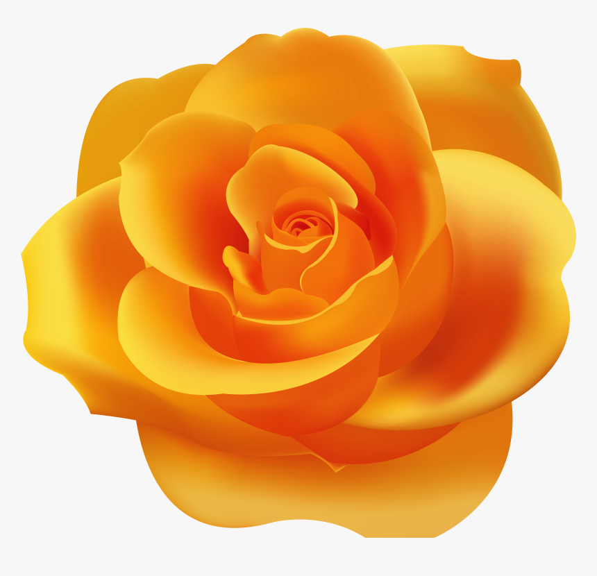 Orange Rose Png Clip Art, Transparent Png , Transparent Png Image PNGitem
