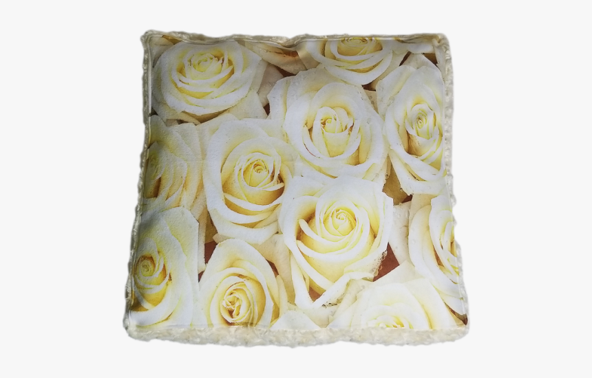 Garden Roses, HD Png Download