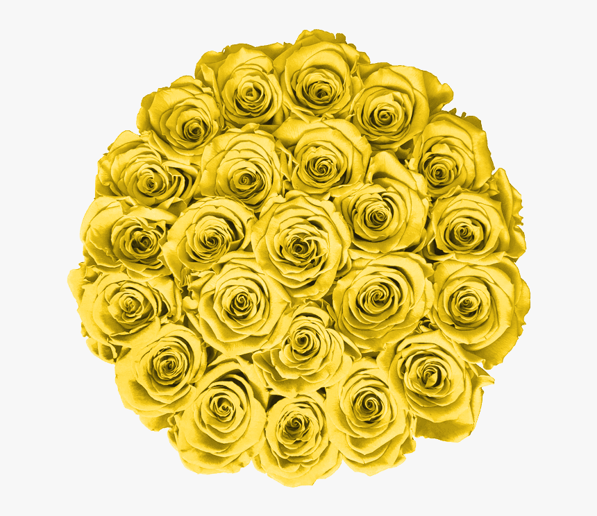 Garden Roses, HD Png Download