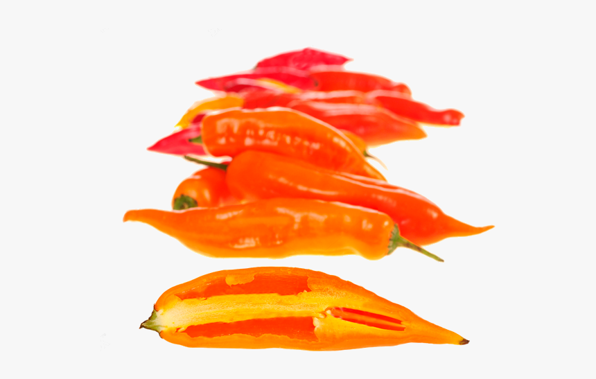 Bird's Eye Chili, HD Png Download
