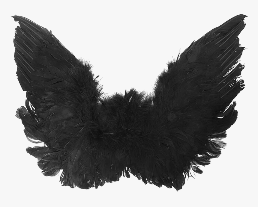 Trend Black Angel Wings Png High Quality Image Vector, - Black Angel Wings Png, Transparent Png