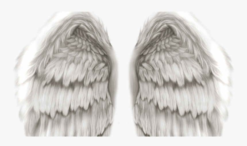 Transparent Angel Wings - Realistic Angel Wings Png, Png Download