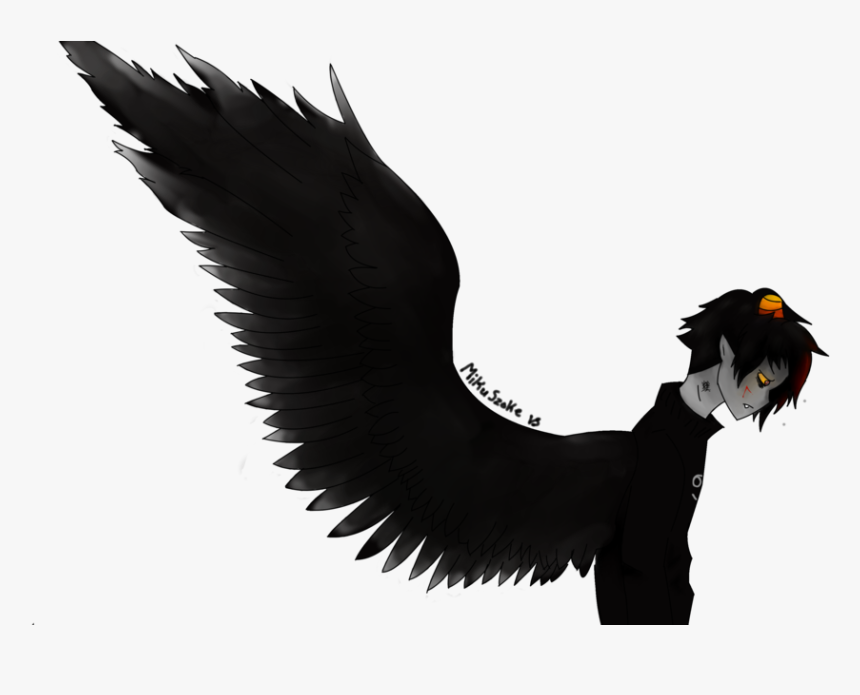 Dark Angel Png - Bird Of Prey, Transparent Png