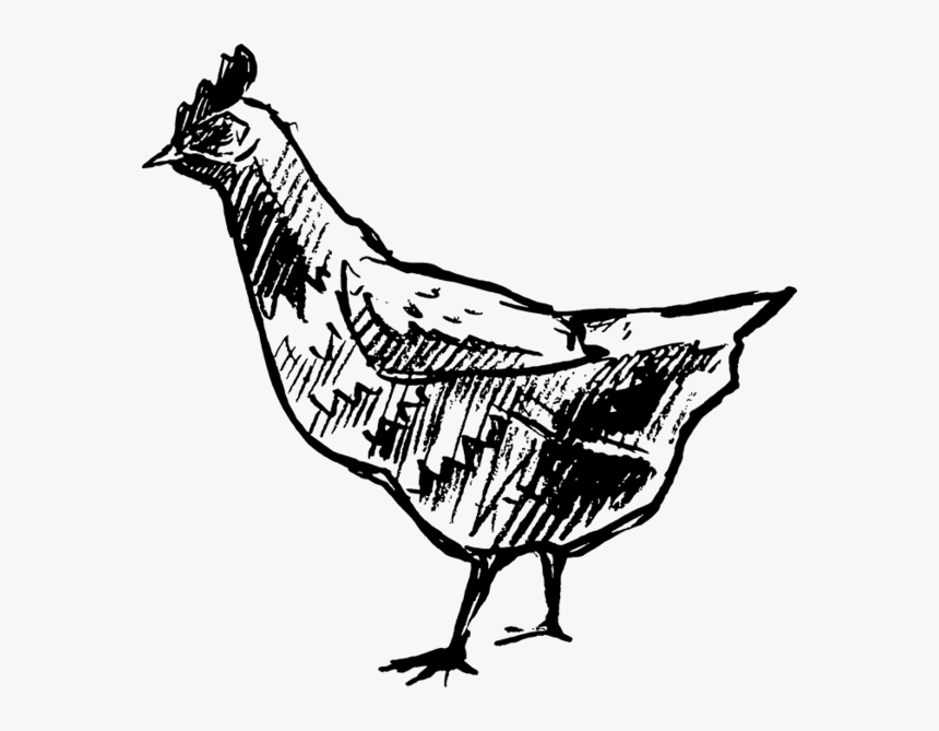 Transparent Chicken Clipart Black And White - Phasianidae, HD Png Download