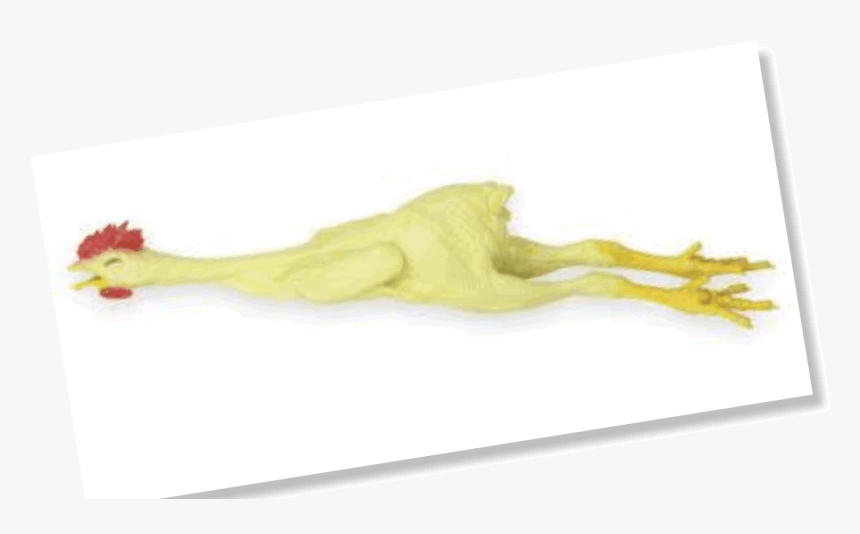 Visual Arts, HD Png Download