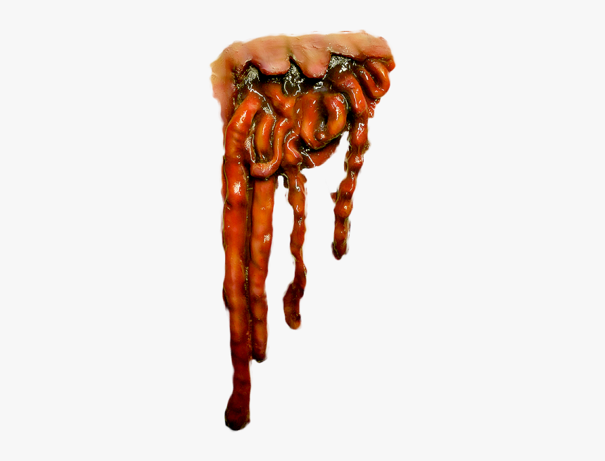 Transparent Intestine Png, Png Download