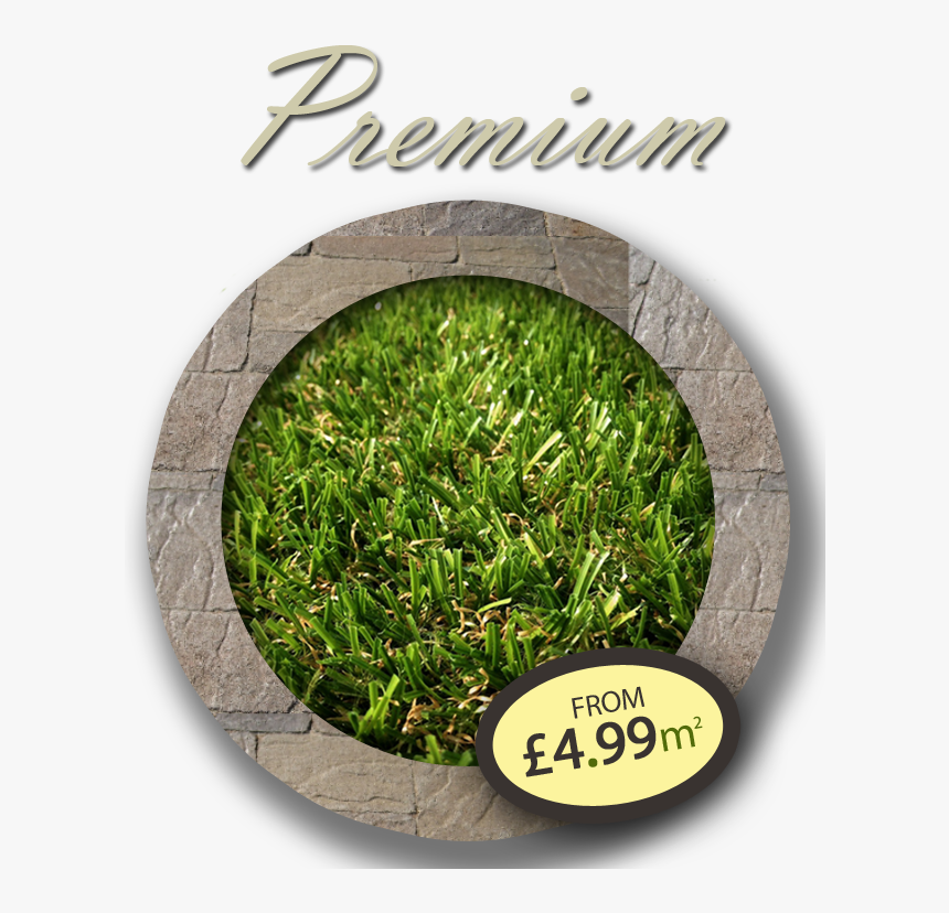 Premium Artificial Grass - Lawn, HD Png Download