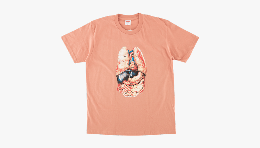 Active Shirt, HD Png Download