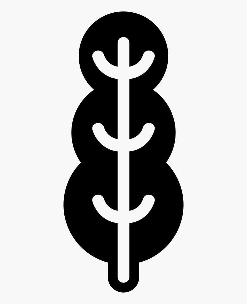 Tall Tree Rounded Shape Of Three Areas - Cross, HD Png Download