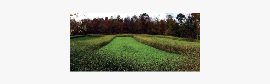 Field, HD Png Download