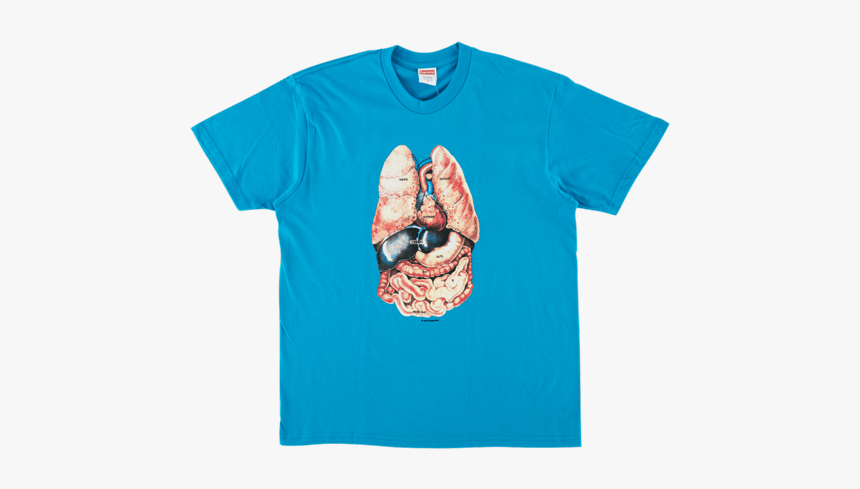 Boa Big Baby Milo Tee, HD Png Download