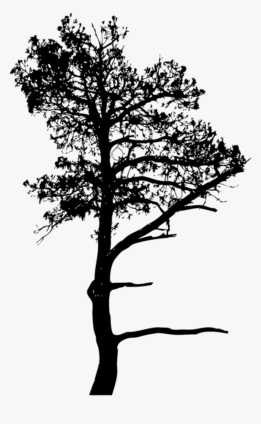 A3b Assessoria Ambiental Silhouette Drawing Art - Silhouette, HD Png Download