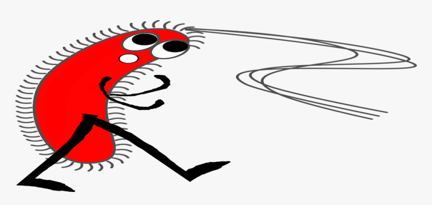 Bacteria, HD Png Download