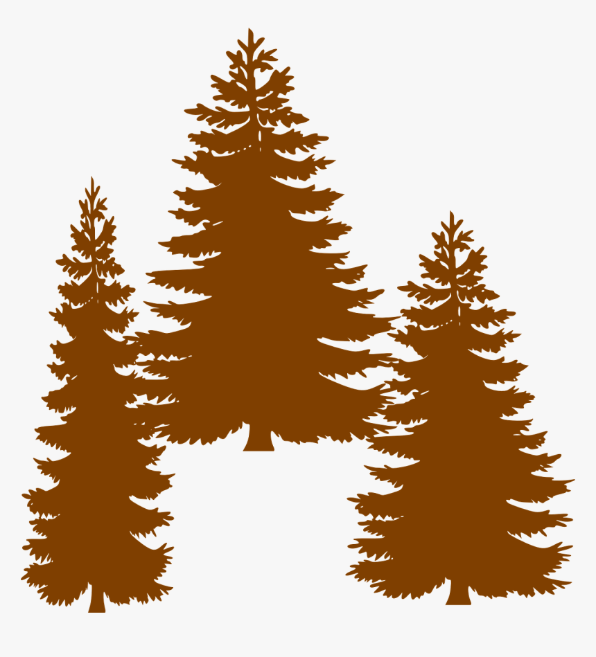 Pine Fir Tree Evergreen Clip Art - Clipart Black Pine Tree, HD Png Download