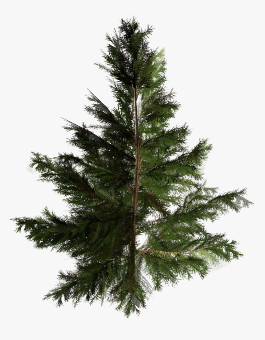 Artificial Christmas Tree Pine Pinales - Tree, HD Png Download
