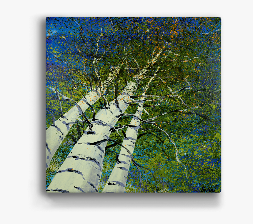 Tall Tree Png, Transparent Png