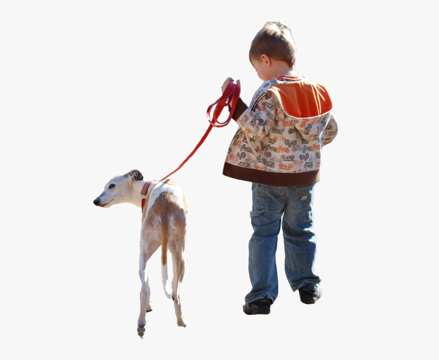 Kid Walking Png - People Walking Dog Png, Transparent Png