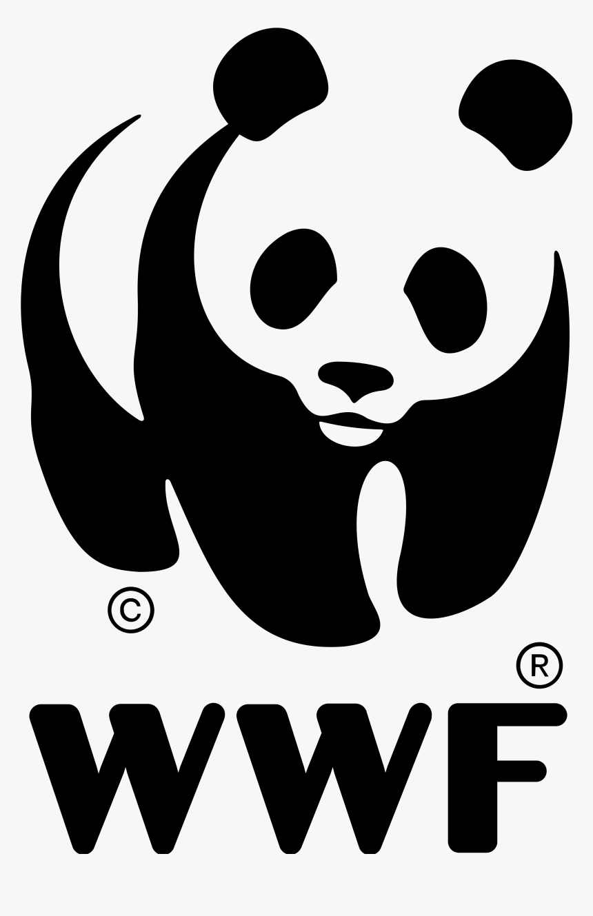 Wwf Logo - World Wide Fund For Nature, HD Png Download