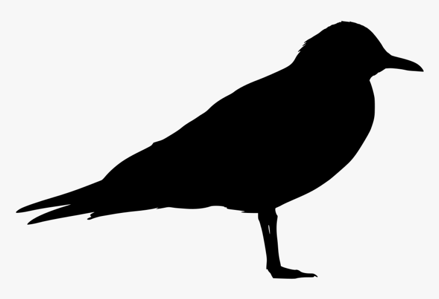 Black Bird Png, Transparent Png