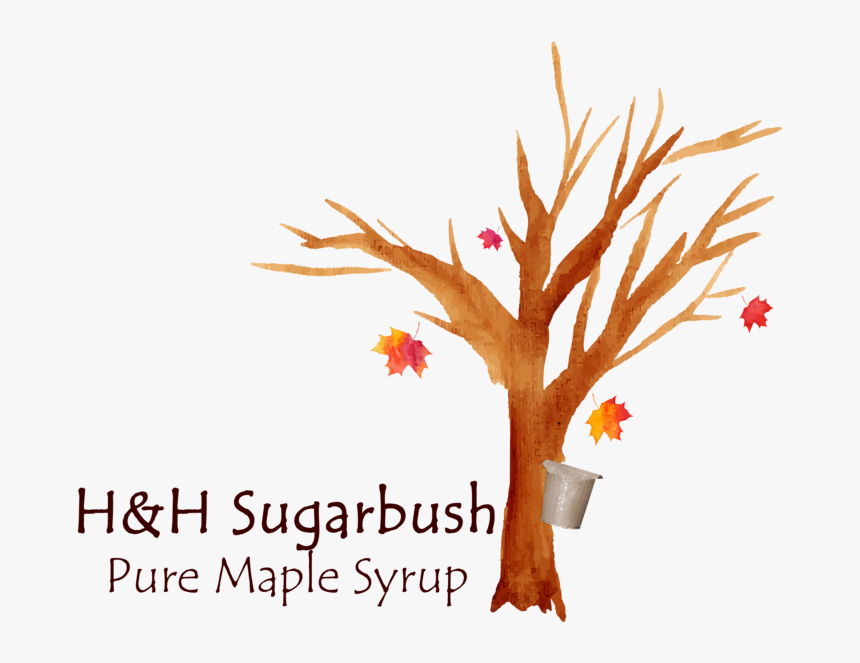 Hh Sugarbush Color Logo, HD Png Download