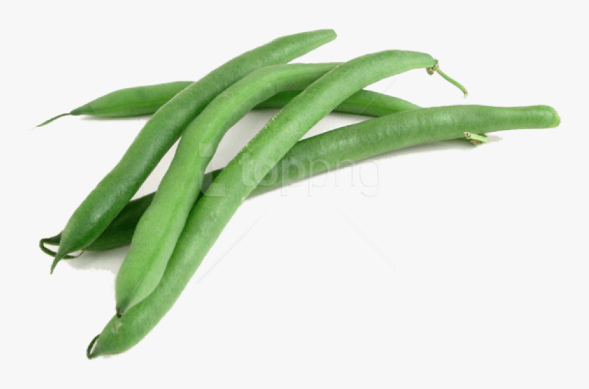 Green Beans Png - Green Beans Transparent Background, Png Download