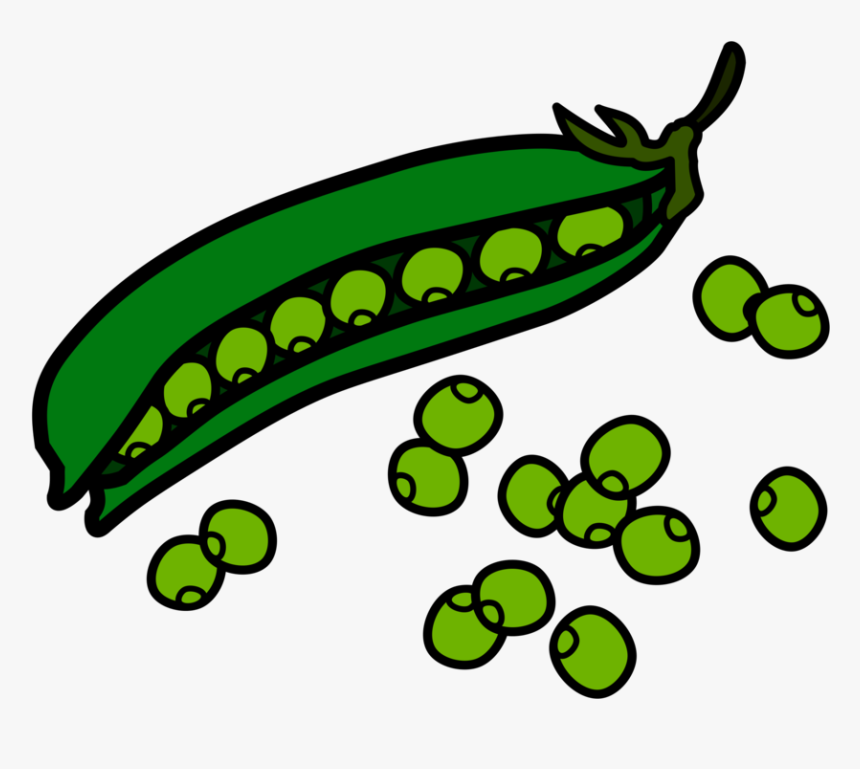 Green Beans Food Clipart Beans Clipart, HD Png Download , Transparent