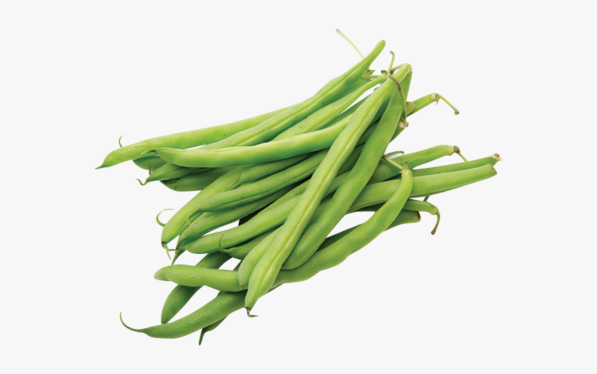 Green Beans 1 Lb Data Rimg Lazy Data Rimg Scale Haricots Png Transparent Png Transparent Png Image Pngitem