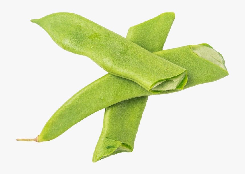 Green-bean - Sweet Gum, HD Png Download