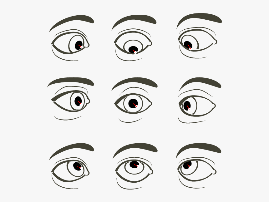 Eyes Position, HD Png Download