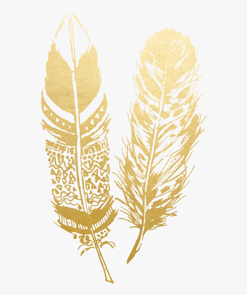 Transparent Feathers Clipart - Transparent Gold Feather Png, Png Download