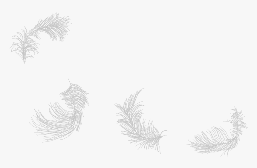 Sketch, HD Png Download