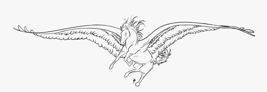 Png Library Download Albatross Drawing Feather - Sketch, Transparent Png