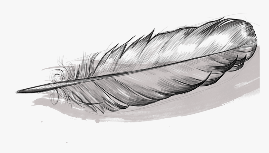 Sketch, HD Png Download