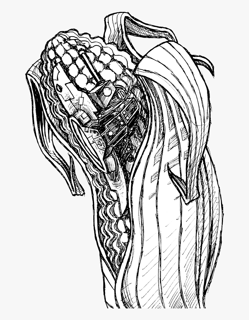 Project First Angry - Navajo Corn Drawing, HD Png Download