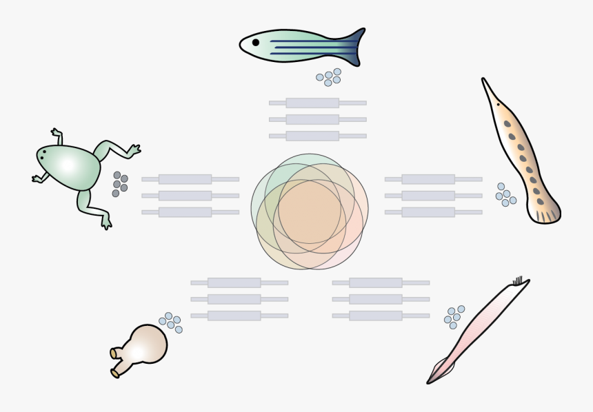 Clip Art, HD Png Download