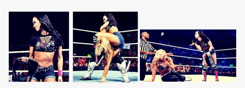 Mixed Martial Arts, HD Png Download